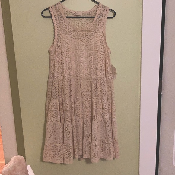 Altar'd State Dresses & Skirts - Altard State: cream lace garden swing dress